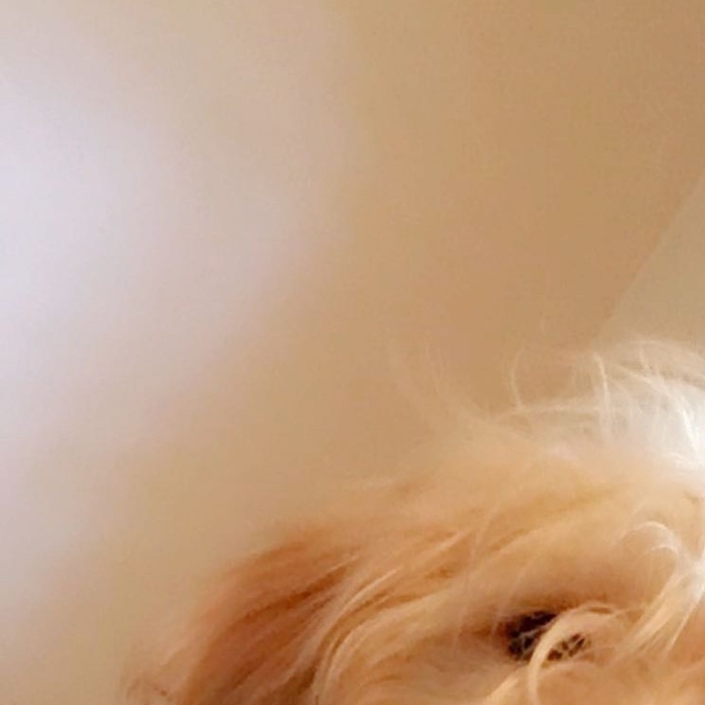 Meet your Posher, Isabella